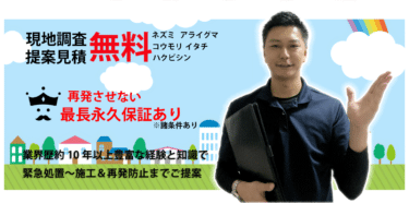 害獣害虫駆除王の評判と口コミを徹底調査!料金やメリット・デメリットを解説