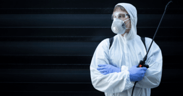 もう迷わない！栃木県宇都宮で評判の良い害獣駆除業者を厳選紹介