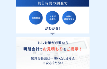 ASANTE（アサンテ）の評判と口コミを徹底調査！料金やメリット・デメリットを解説
